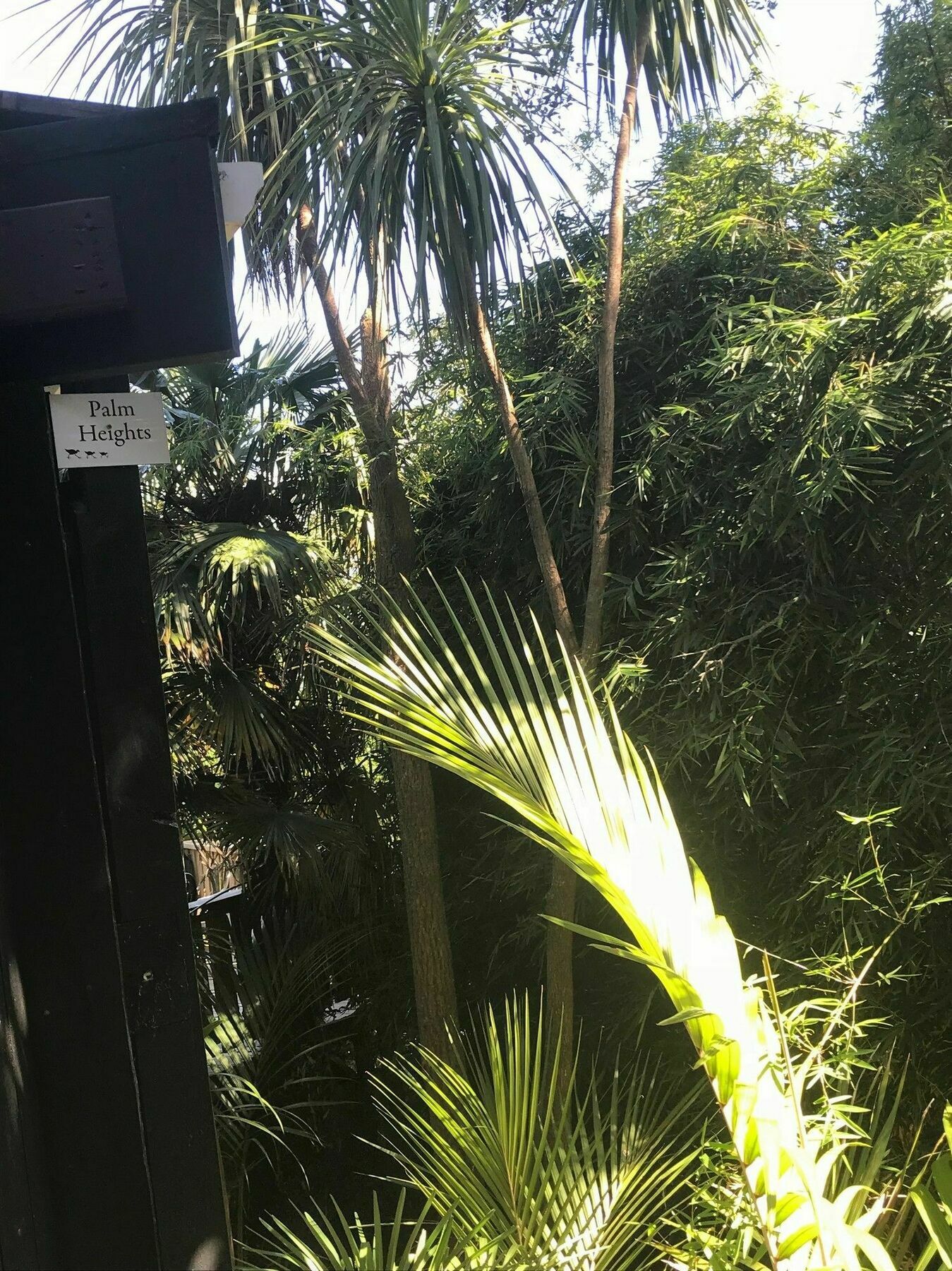 Palm Heights Apartment Palm Beach Ngoại thất bức ảnh